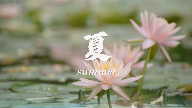 a8国际(股份)有限公司官网