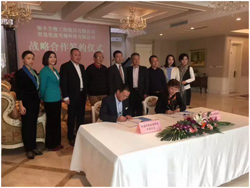 1449038835 a8国际(股份)有限公司官网