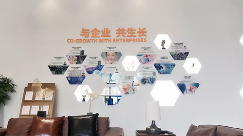 a8国际(股份)有限公司官网