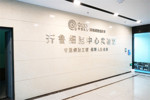 a8国际(股份)有限公司官网