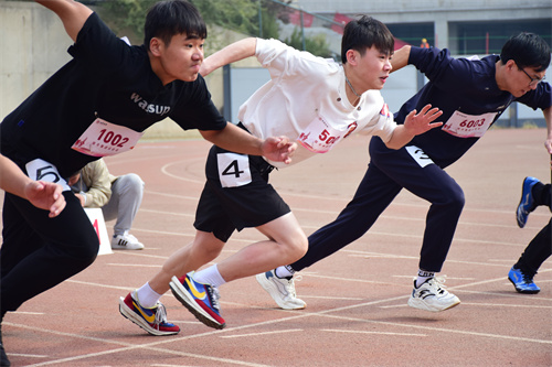 a8国际(股份)有限公司官网